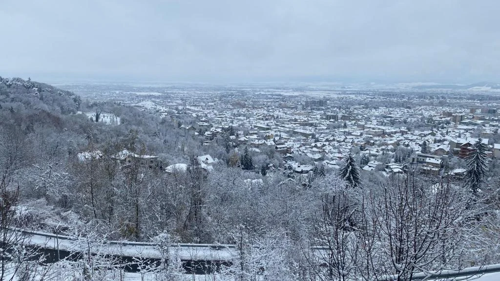 Winter panorama