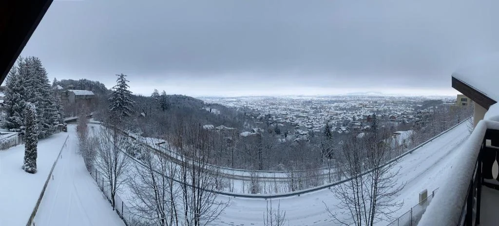 Balcony with a winter panorama